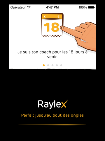 Screenshot #4 pour Raylex