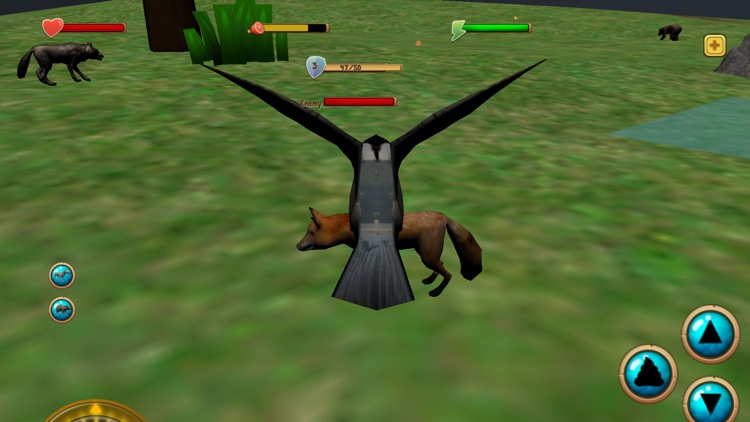 Chickadee Bird Simulator