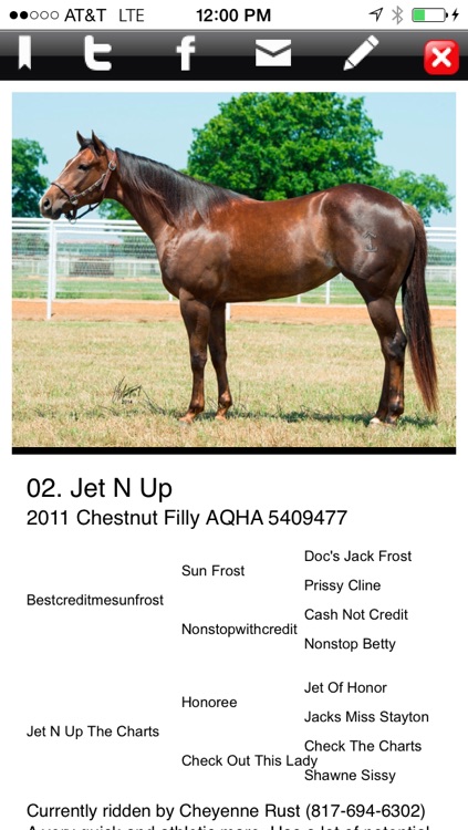 Jud Little Production Sale