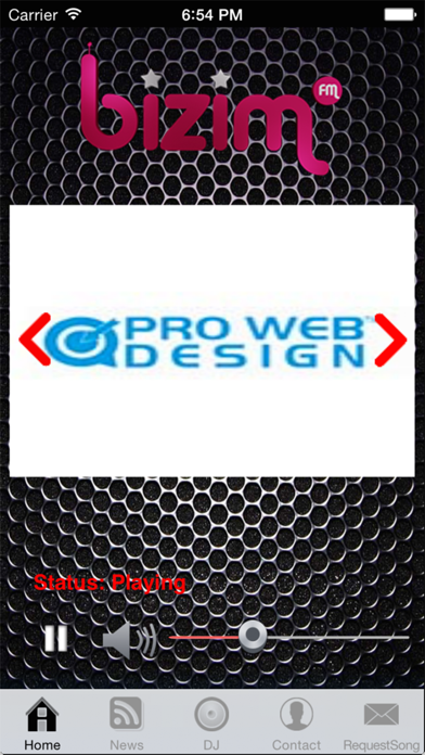 Screenshot #1 pour Bizim FM