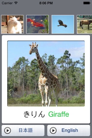 Baby Flash Cards Free - Animals in Japanese and English screenshot 2
