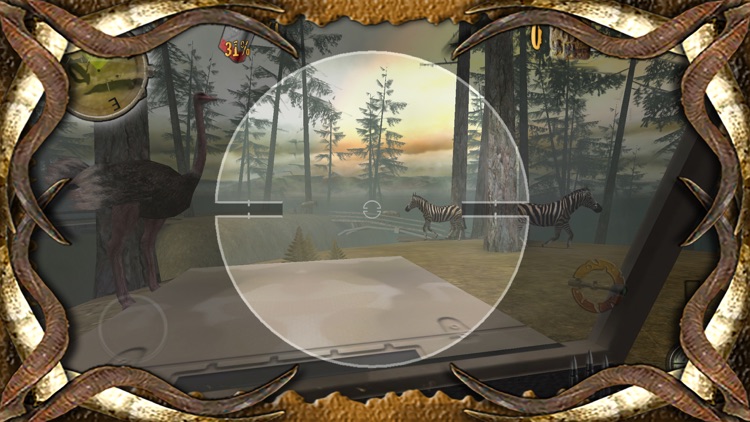 4x4 Safari 2