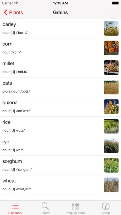 English Picture Dictionary