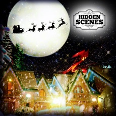 Activities of Hidden Scenes - Christmas Time