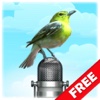 Bird Picture & Sound For iPad