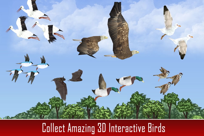 Animal Kingdom Science For Kids