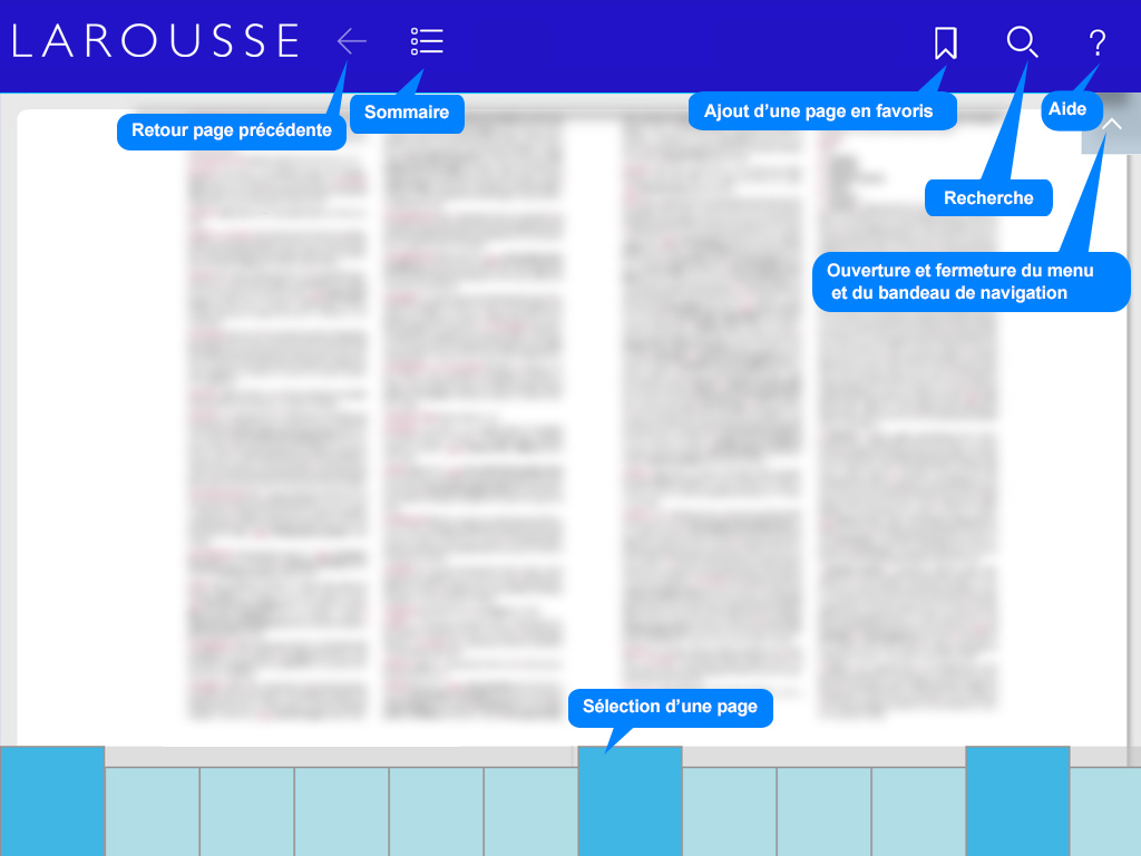 LAROUSSE Premium screenshot 3