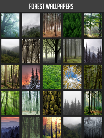 Screenshot #4 pour Forest Wallpapers