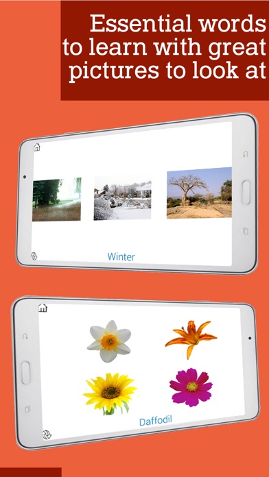 Screenshot 4 of Montessori Flowers and Seasons App