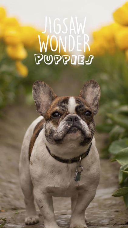 Jigsaw Wonder Puppies Puzzles for Kids Free