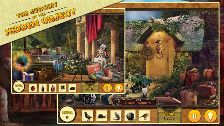 The Mystery of the HIDDEN OBJECTS