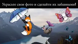 Game screenshot Глупая лиса: украсьте свои фото стикерами с изображениями лисы и ее друзей-животных! бесплатно mod apk