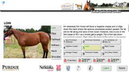 horsebcs iphone screenshot 3