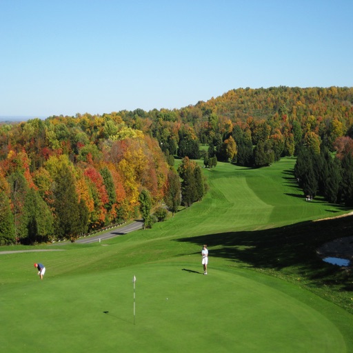 GolfNY icon