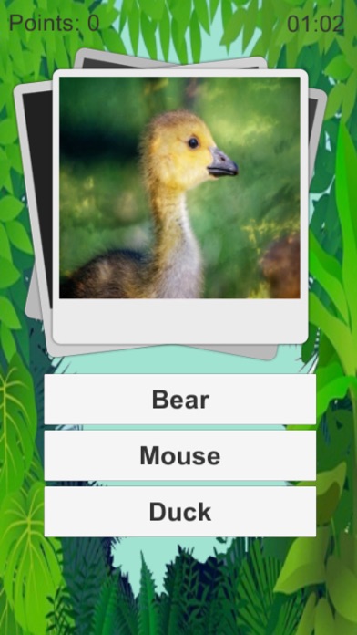 Screenshot #1 pour Animal Quiz Kids