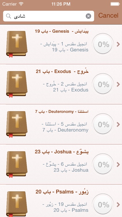 Urdu Holy Bible - انجیل مقدس screenshot-3