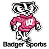Badger Sports