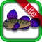 "Aquarium Coloring for Kids Lite ~Ocean life~" is a coloring book application for kids