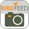 Pocket Ranger Bird Feed™