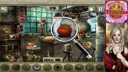 Game screenshot Hidden Objects:The Princess Wish hack