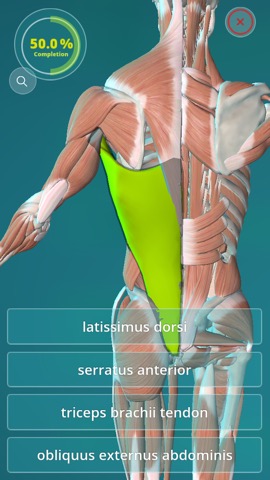 Anatomy Quiz - muscles and bonesのおすすめ画像2