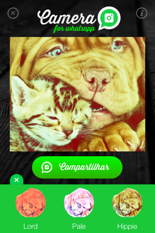 Camera for WhatsApp - Share amazing photos with your friends screenshot 3