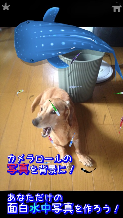 やさしくタッチ!めだかヌダカのスクリーンショット4 やさしくタッチ!めだかヌダカのスクリーンショット4