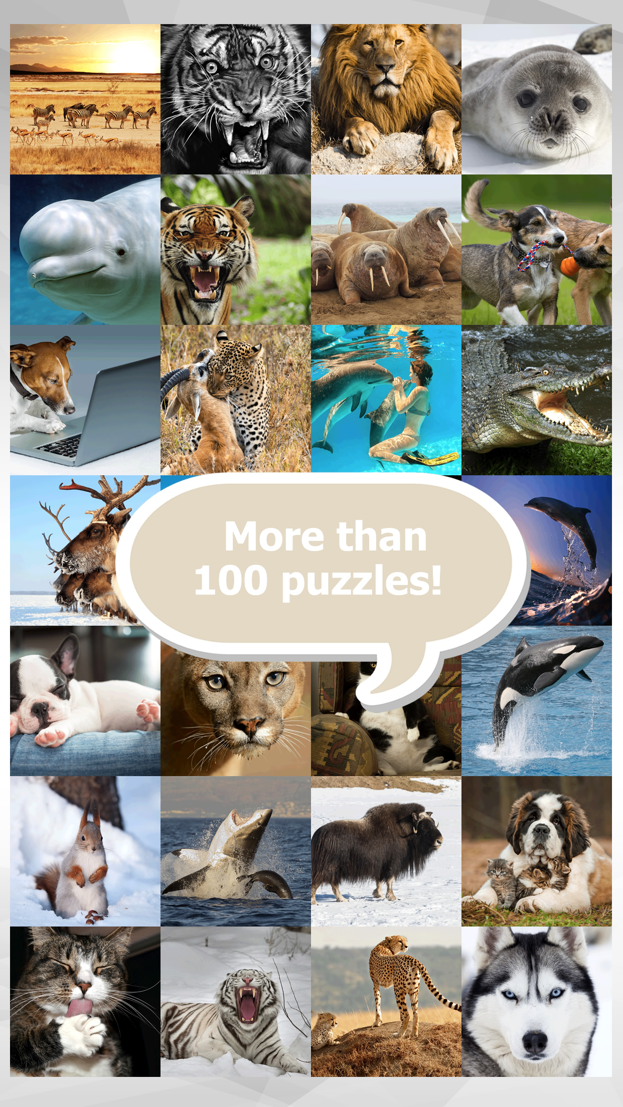 Animal Puzzle Game HD