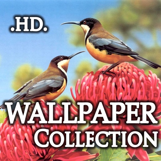 Awesome Art Wallpapers icon