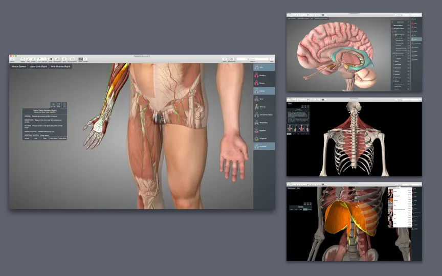 Скриншот Essential Anatomy 5 на iPhone 5