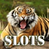 Extinction Animals Slots - FREE Amazing Las Vegas Casino Games Premium Edition