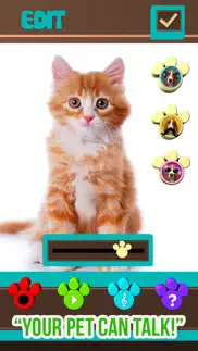 +my pet can talk videos - free virtual talking animal game iphone screenshot 1