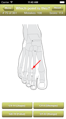 Acupuncture Points Quiz screenshot 4