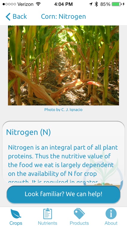 Longnecker - Crop Deficiencies