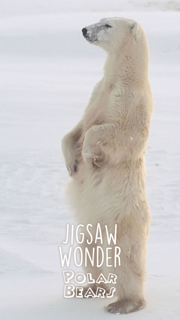 Jigsaw Wonder Polar Bear Puzzles for Kids Free screenshot 4