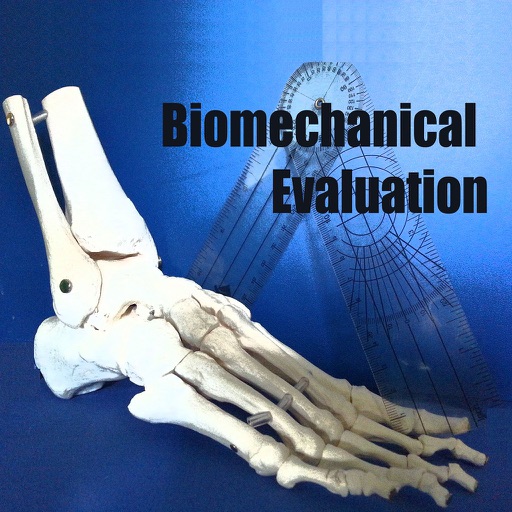 Biomechanical Evaluation