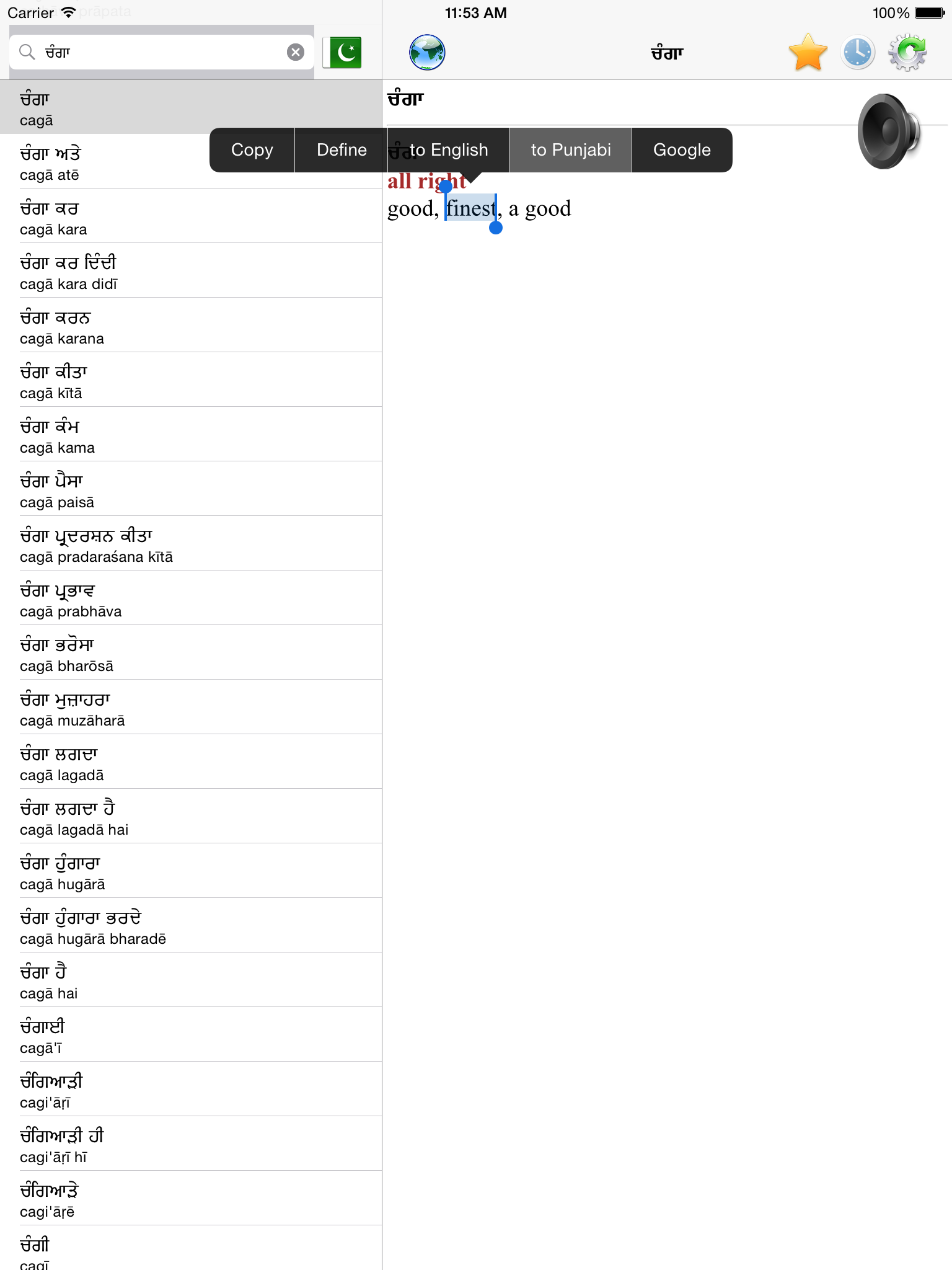English Punjabi best dictionary screenshot 8