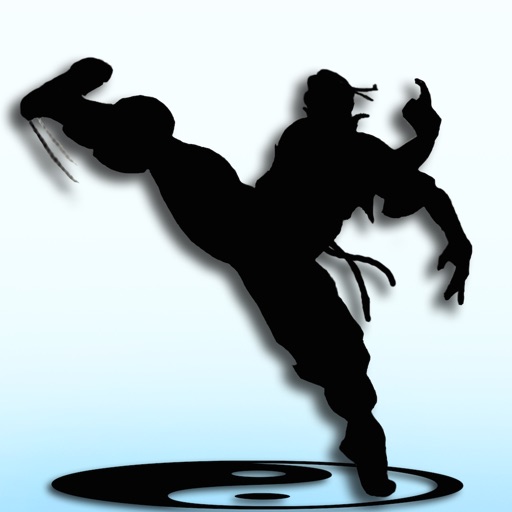 Kungfu Warriors 3D Free icon