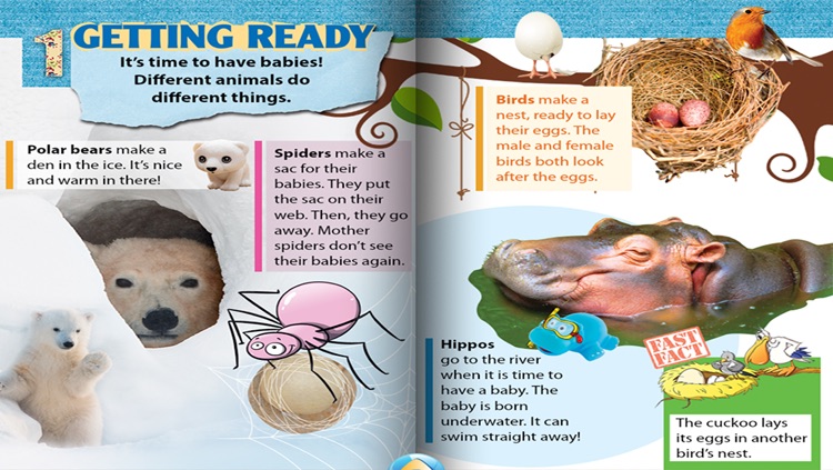 Baby Animals - CLIL Reader