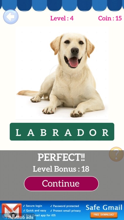 Guess Puppy Breed: Reveal Wolf Dog Breed Like Poodle & Labrador