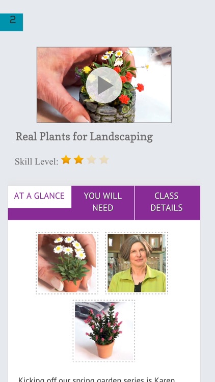 Flowers and Plants in Miniature