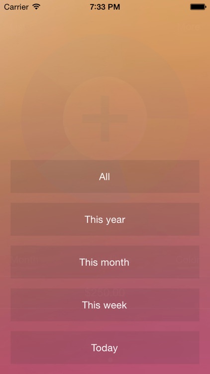 AccountBooks screenshot-3