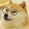 AskDoge