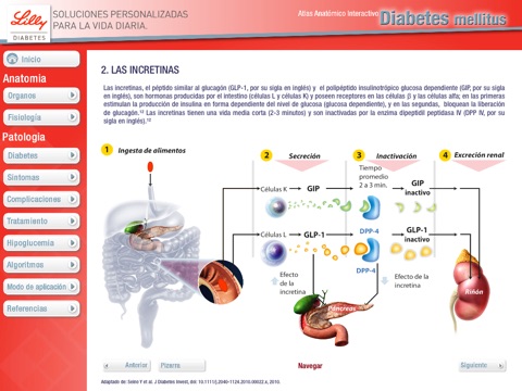 Atlas Diabetes Mellitus screenshot 4