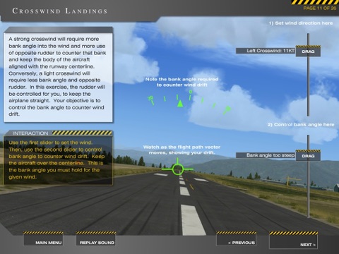 Master Stick and Rudder Flying screenshot 4