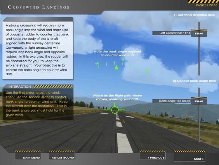 Master Stick and Rudder Flying screenshot-3