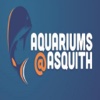 Aquariums@Asquith