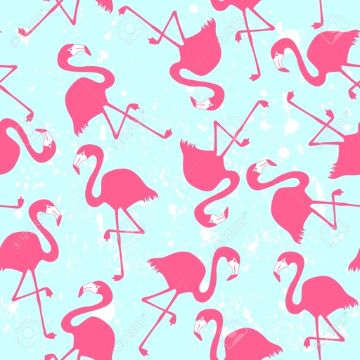 Flamingo Pattern Wallpapers HD: Quotes Backgrounds with Design Pictures icon