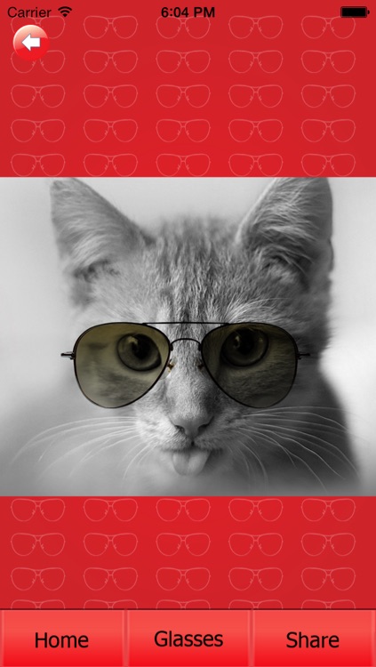 Glassess screenshot-3