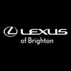 Lexus Of Brighton DealerApp